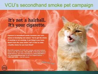 VCU’s secondhand smoke pet campaign
 