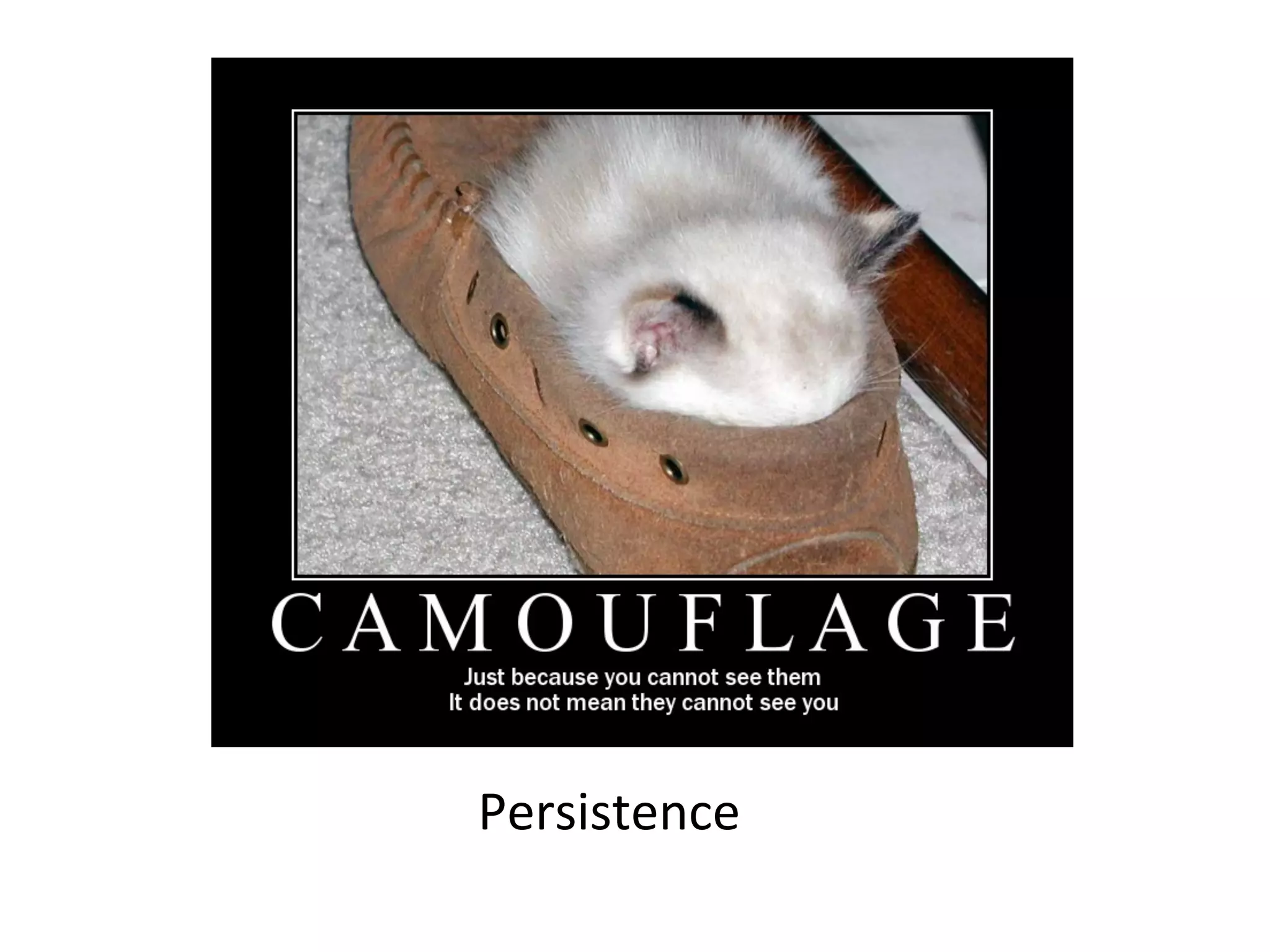 Host	
  level	
  persistence:	
  
	
  	
  
– Look	
  for	
  common	
  pa"erns	
  of	
  persistence	
  via	
  
programs	
  executed	
  on	
  boot,	
  kernel	
  modules	
  
loaded,	
  etc	
  
 