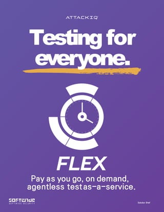 Solution Brief
Testingfor
everyone.
Pay as you go, on demand,
agentless test as-a-service.
 