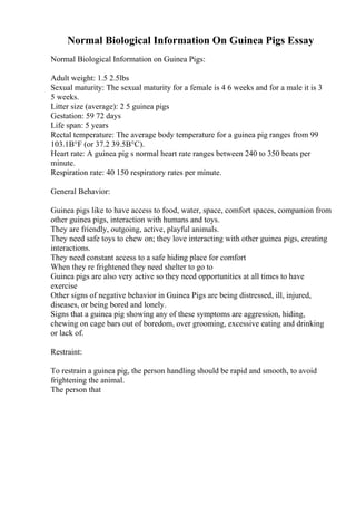 Normal Biological Information On Guinea Pigs Essay
Normal Biological Information on Guinea Pigs:
Adult weight: 1.5 2.5lbs
Sexual maturity: The sexual maturity for a female is 4 6 weeks and for a male it is 3
5 weeks.
Litter size (average): 2 5 guinea pigs
Gestation: 59 72 days
Life span: 5 years
Rectal temperature: The average body temperature for a guinea pig ranges from 99
103.1В°F (or 37.2 39.5В°C).
Heart rate: A guinea pig s normal heart rate ranges between 240 to 350 beats per
minute.
Respiration rate: 40 150 respiratory rates per minute.
General Behavior:
Guinea pigs like to have access to food, water, space, comfort spaces, companion from
other guinea pigs, interaction with humans and toys.
They are friendly, outgoing, active, playful animals.
They need safe toys to chew on; they love interacting with other guinea pigs, creating
interactions.
They need constant access to a safe hiding place for comfort
When they re frightened they need shelter to go to
Guinea pigs are also very active so they need opportunities at all times to have
exercise
Other signs of negative behavior in Guinea Pigs are being distressed, ill, injured,
diseases, or being bored and lonely.
Signs that a guinea pig showing any of these symptoms are aggression, hiding,
chewing on cage bars out of boredom, over grooming, excessive eating and drinking
or lack of.
Restraint:
To restrain a guinea pig, the person handling should be rapid and smooth, to avoid
frightening the animal.
The person that
 