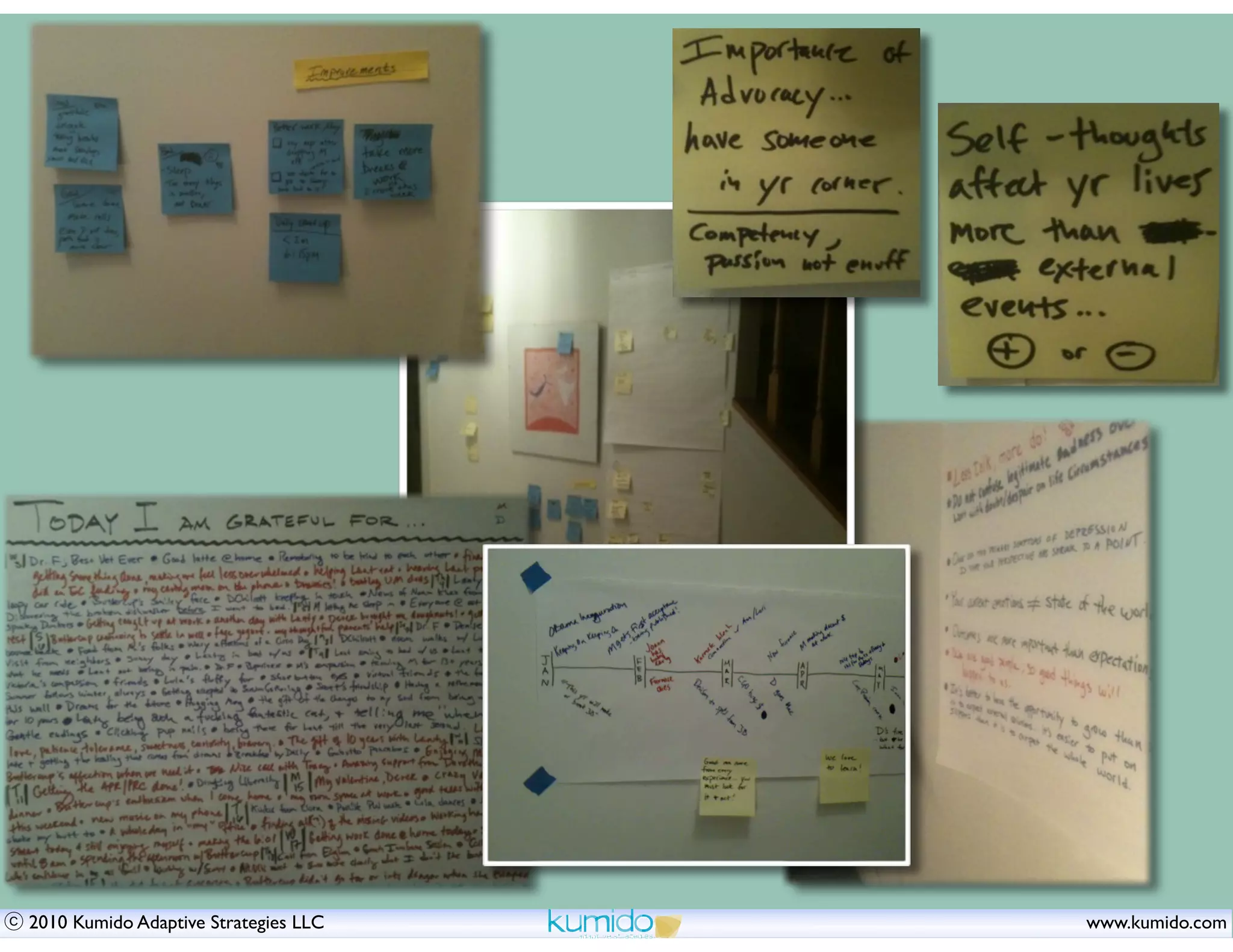 2010 Kumido Adaptive Strategies LLC   www.kumido.com
 