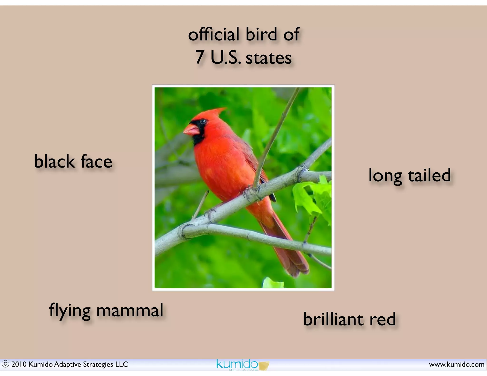 ofﬁcial bird of
                                       7 U.S. states




      black face
                                                                 long tailed




           ﬂying mammal                                 brilliant red

2010 Kumido Adaptive Strategies LLC                                      www.kumido.com
 