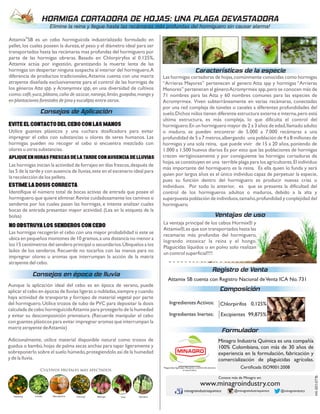 Elimine la reina y llegue hasta las recámaras más profundas del hormiguero sin causar alarma!
HORMIGA CORTADORA DE HOJAS: UNA PLAGA DEVASTADORA
Registro de Venta
Attamix SB cuenta con Registro Nacional deVenta ICA No. 731
Formulador
Minagro Industria Química es una compañía
100% Colombiana, con más de 30 años de
experiencia en la formulación, fabricación y
comercialización de plaguicidas agrícolas.
Certiﬁcada ISO9001:2008
Composición
ChlorpirifosIngredientes Activos:
Excipientes 99,875%Ingredientes Inertes:
www.minagroindustry.com
Conoce más de Minagro en:
minagroindustriaquimica @minagroindustriaquimica @minagroindustry
Plaguicidas Agrícolas, Pecuarios y control de vectores
en Salud Pública
0,125%
HX-001-0716
®
Attamix SB es un cebo hormiguicida industrializado formulado en
pellet,los cuales poseen la dureza,el peso y el diámetro ideal para ser
transportados hasta las recámaras mas profundas del hormiguero por
parte de las hormigas obreras. Basado en Chlorpiryfos al 0.125%,
Attamix actúa por ingestión, garantizando la muerte lenta de las
hormigas sin despertar ninguna sospecha al interior del hormiguero.A
diferencia de productos tradicionales,Attamix cuenta con una matriz
atrayente diseñada exclusivamente para el control de las hormigas de
los géneros Atta spp. y Acromyrmex spp, en una diversidad de cultivos
como:café,yuca,plátano,caña de azúcar,naranja,limón,guayaba,mango y
en plantaciones forestales de pino y eucalipto entre otros.
Consejos de Aplicación
eviteelcontactodelceboconlasmanos
Utilice guantes plásticos y una cuchara dosificadora para evitar
impregnar el cebo con substancias u olores de seres humanos. Las
hormigas pueden no recoger el cebo si encuentra mezclado con
olores u otras substancias.
ApliqueenhorasFRESCASdelatardeconausenciadelluvias
Las hormigas inician la actividad de forrajeo en días frescos,después de
las 5 de la tarde y con ausencia de lluvias,este en el escenario ideal para
la recolección de los pellets.
estimeladosiscorrecta
Identifique el número total de bocas activas de entrada que posee el
hormiguero que quiere eliminar.Revise cuidadosamente los caminos o
senderos por los cuales pasan las hormigas, e intente analizar cuales
bocas de entrada presentan mayor actividad. (Lea en la etiqueta de la
bolsa)
noobstruyalossenderosconcebo
Las hormigas recogerán el cebo con una mayor probabilidad si este se
ubica en pequeños montones de 10 gramos,a una distancia no menor a
los 15 centímetros del sendero principal o secundarios.Úbiquelos a los
lados de los senderos. Recuerde no tocarlos con las manos para no
impregnar olores u aromas que interrumpan la acción de la matriz
atrayente del cebo.
Consejos en época de lluvia
Aunque la aplicación ideal del cebo es en época de verano, puede
aplicar el cebo en épocas de lluvias ligeras o nubladas,siempre y cuando
haya actividad de transporte y forrajeo de material vegetal por parte
del hormiguero.Utilice trozos de tubo de PVC para depositar la dosis
calculada de cebo hormiguicidaAttamix para protegerlo de la humedad
y evitar su descomposición prematura. (Recuerde manipular el cebo
con guantes plásticos para evitar impregnar aromas que interrumpan la
matriz atrayente deAttamix)
Adicionalmente, utilice material disponible natural como trozos de
guadua o bambú,hojas de palma secas anchas para tapar ligeramente y
sobreponerlo sobre el suelo húmedo,protegiendolo así de la humedad
y de la lluvia.
Cultivos frutales más afectados
Naranja Limón Mandarina Toronja Mango Uva Banano
Características de la especie
Las hormigas cortadoras de hojas,comúnmente conocidas como hormigas
“Arrieras Mayores” pertenecen al genero Atta spp y hormigas “Arrieras
Menores” pertenecen al géneroAcromyrmex spp,pero se conocen más de
71 nombres para las Atta y 60 nombres comunes para las especies de
Acromyrmex. Viven subterráneamente en varias recámaras, conectadas
por una red compleja de túneles o canales a diferentes profundidades del
suelo.Dichos nidos tienen diferente estructura externa e interna,pero está
ultima extructura, es más compleja, lo que dificulta el control del
hormiguero.En un hormiguero mayor de 2 a 3 años de edad,llamado adulto
o maduro, se pueden encontrar de 5.000 a 7.000 recámaras a una
profundidad de 5 a 7 metros,albergando una población de 4 a 8 millones de
hormigas y una sola reina, que puede vivir de 15 a 20 años, poniendo de
1.000 a 1.500 huevos diarios Es por esto que las poblaciones de hormigas
crecen vertiginosamente y por consiguiente las hormigas cortadoras de
hojas,se constituyen en una terrible plaga para los agricultores.El individuo
más importante del hormiguero es la reina. Es ella quien lo funda y será
quien por largos años es el único individuo capaz de perpetuar la especie,
pues su función dentro del hormiguero es producir nuevas crías o
individuos. Por todo lo anterior, es que se presenta la dificultad del
control de los hormigueros adultos o maduros, debido a la alta y
superpuesta población de individuos,tamaño,profundidad y conplejidad del
hormiguero.
La ventaja principal de los cebos Hormix® y
Attamix®,es que son transportados hasta las
recamaras más profundas del hormiguero,
logrando intoxicar la reina y el hongo.
Plaguicidas líquidos o en polvo solo realizan
un control superficial!!!!
Ventajas de uso
 