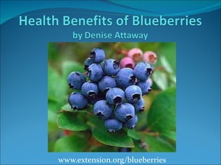 www.extension.org/blueberries 
