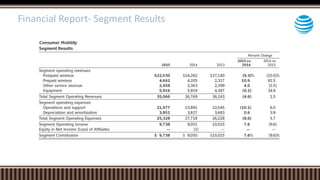 Financial Report- Segment Results
 