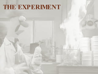 THE EXPERIMENT 