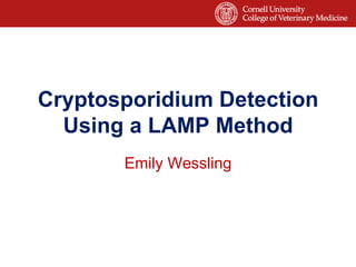 Cryptosporidium Detection
  Using a LAMP Method
       Emily Wessling
 