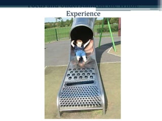 Focus and Understand on the Whole 
Experience 
 