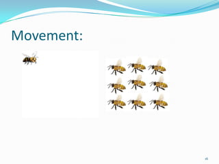 Movement:




            16
 