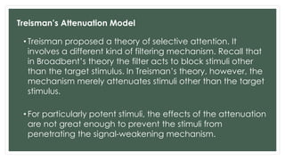 Treisman’s Attenuation Model
• Treisman proposed a theory of selective attention. It
involves a different kind of filtering mechanism. Recall that
in Broadbent’s theory the filter acts to block stimuli other
than the target stimulus. In Treisman’s theory, however, the
mechanism merely attenuates stimuli other than the target
stimulus.
• For particularly potent stimuli, the effects of the attenuation
are not great enough to prevent the stimuli from
penetrating the signal-weakening mechanism.
 