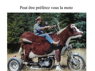 Peut être préférez vous la moto 