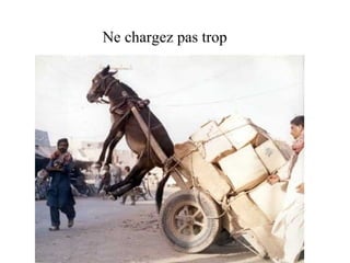 Ne chargez pas trop 
