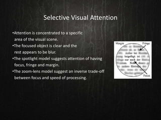 Selective Visual Attention
•Attention is concentrated to a specific
area of the visual scene.
•The focused object is clear and the
rest appears to be blur.
•The spotlight model suggests attention of having
focus, fringe and margin.
•The zoom-lens model suggest an inverse trade-off
between focus and speed of processing.
 