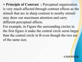 Attention and perception | PPTX