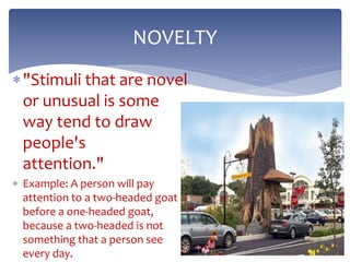 "Stimuli that are novel
or unusual is some
way tend to draw
people's
attention."
 Example: A person will pay
attention to a two-headed goat
before a one-headed goat,
because a two-headed is not
something that a person see
every day.
NOVELTY
 