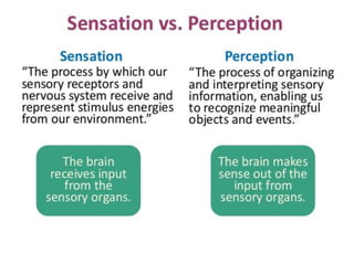 Attention by D Arnold Robinson Meston College of Education Chennai