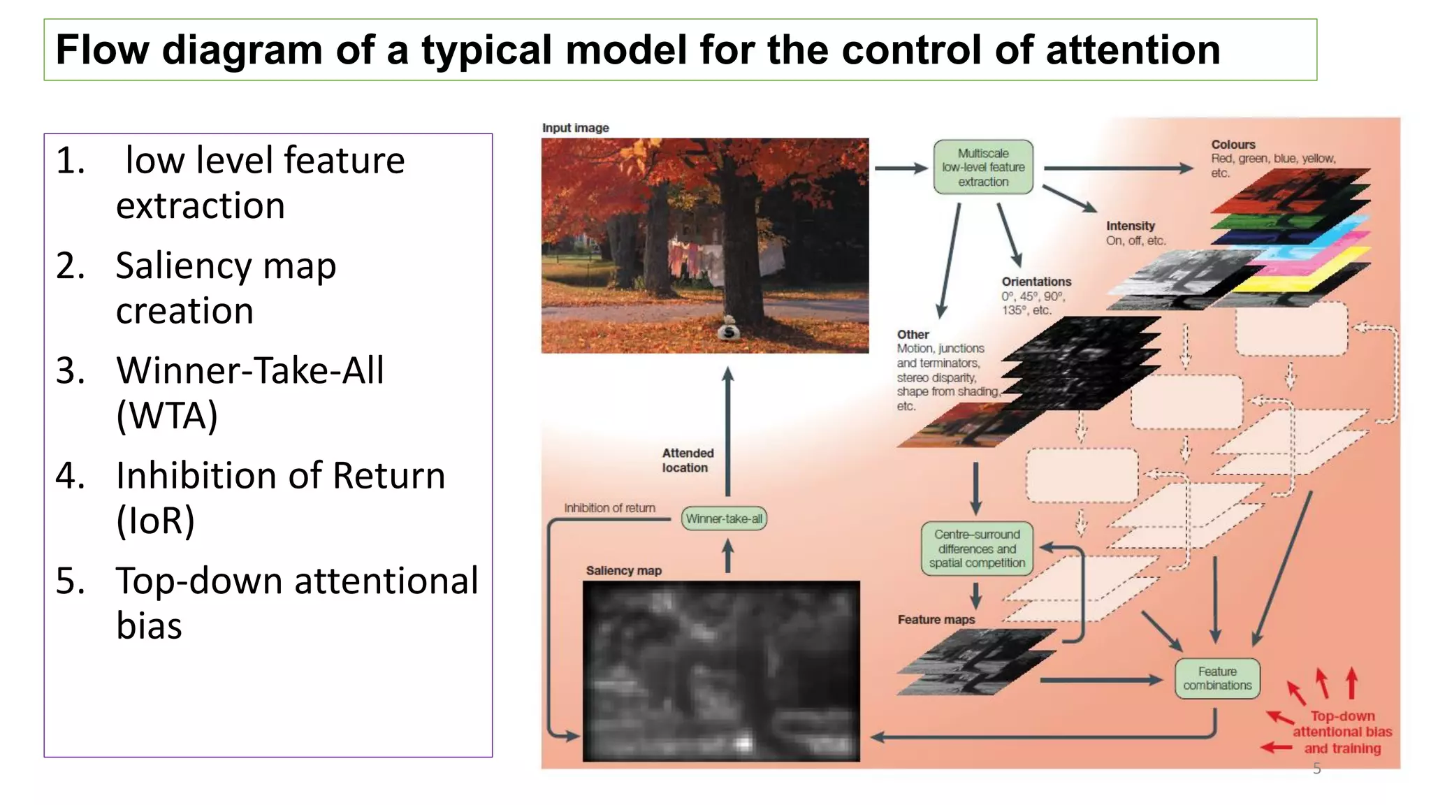 1. low level feature
extraction
2. Saliency map
creation
3. Winner-Take-All
(WTA)
4. Inhibition of Return
(IoR)
5. Top-down attentional
bias
Flow diagram of a typical model for the control of attention
5
 