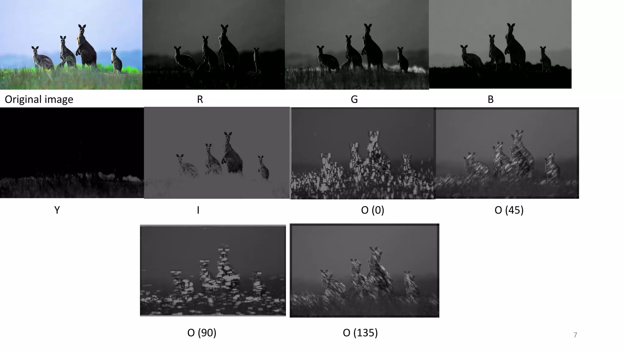 Original image R G B
Y I O (0) O (45)
O (90) O (135) 7
 