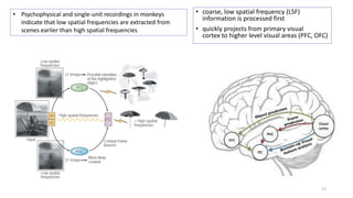 Attention mechanism in brain and deep neural network | PDF