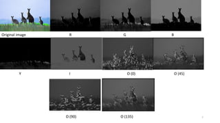 Attention mechanism in brain and deep neural network | PDF