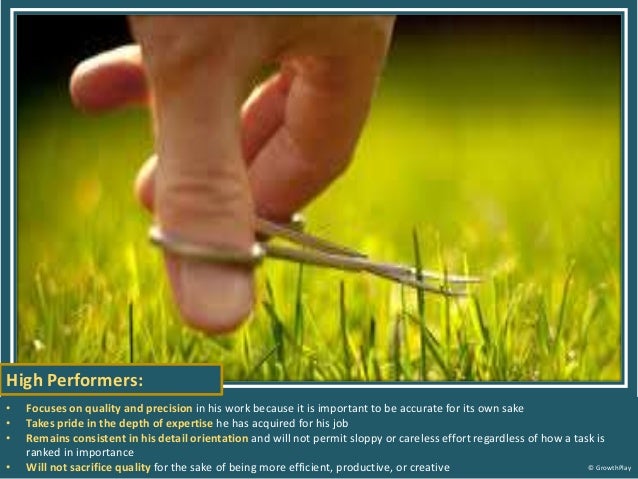 competency of the month attention to detail what is attention to detail