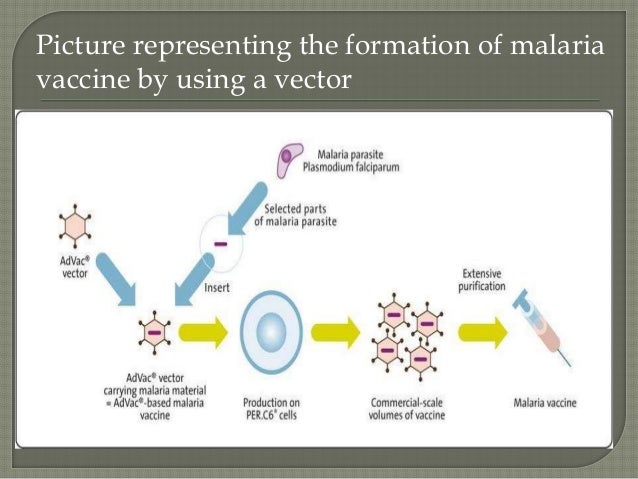 vector vaccines