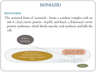 ISONIAZID
MECHANISM

The activated form of isoniazid - forms a covalent complex with an
inh-A (Acyl carrier protein -AcpM) and KasA, a ß-ketoacyl carrier
protein synthetase, which blocks mycolic acid synthesis and kills the
cell.

 
