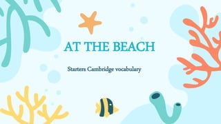 AT THE BEACH
Starters Cambridge vocabulary
 