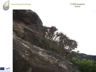 Natural Treasures of Europe   1st EPAL Ierapetras
                                    Greece
 