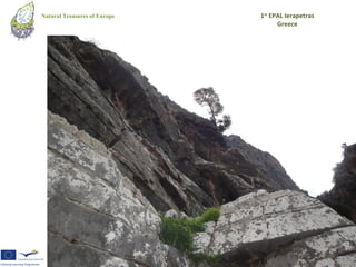 Natural Treasures of Europe   1st EPAL Ierapetras
                                    Greece
 
