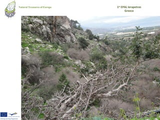 Natural Treasures of Europe   1st EPAL Ierapetras
                                    Greece
 