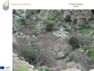 Natural Treasures of Europe   1st EPAL Ierapetras
                                    Greece
 