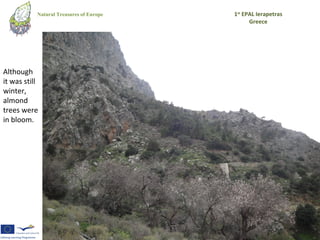 Natural Treasures of Europe   1st EPAL Ierapetras
                                               Greece




Although
it was still
winter,
almond
trees were
in bloom.
 