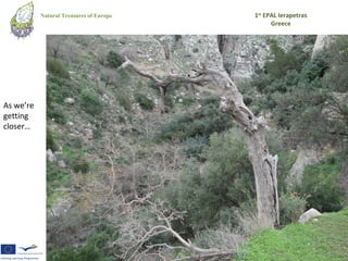 Natural Treasures of Europe   1st EPAL Ierapetras
                                               Greece




As we’re
getting
closer…
 