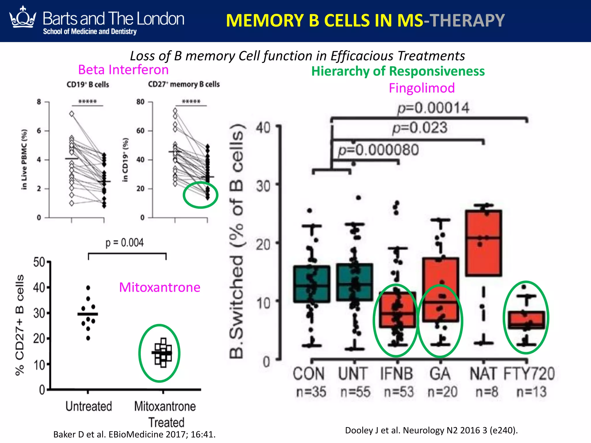 Mitoxantrone
Fingolimod
Beta Interferon Hierarchy of Responsiveness
Loss of B memory Cell function in Efficacious Treatments
Dooley J et al. Neurology N2 2016 3 (e240).Baker D et al. EBioMedicine 2017; 16:41.
MEMORY B CELLS IN MS-THERAPY
 