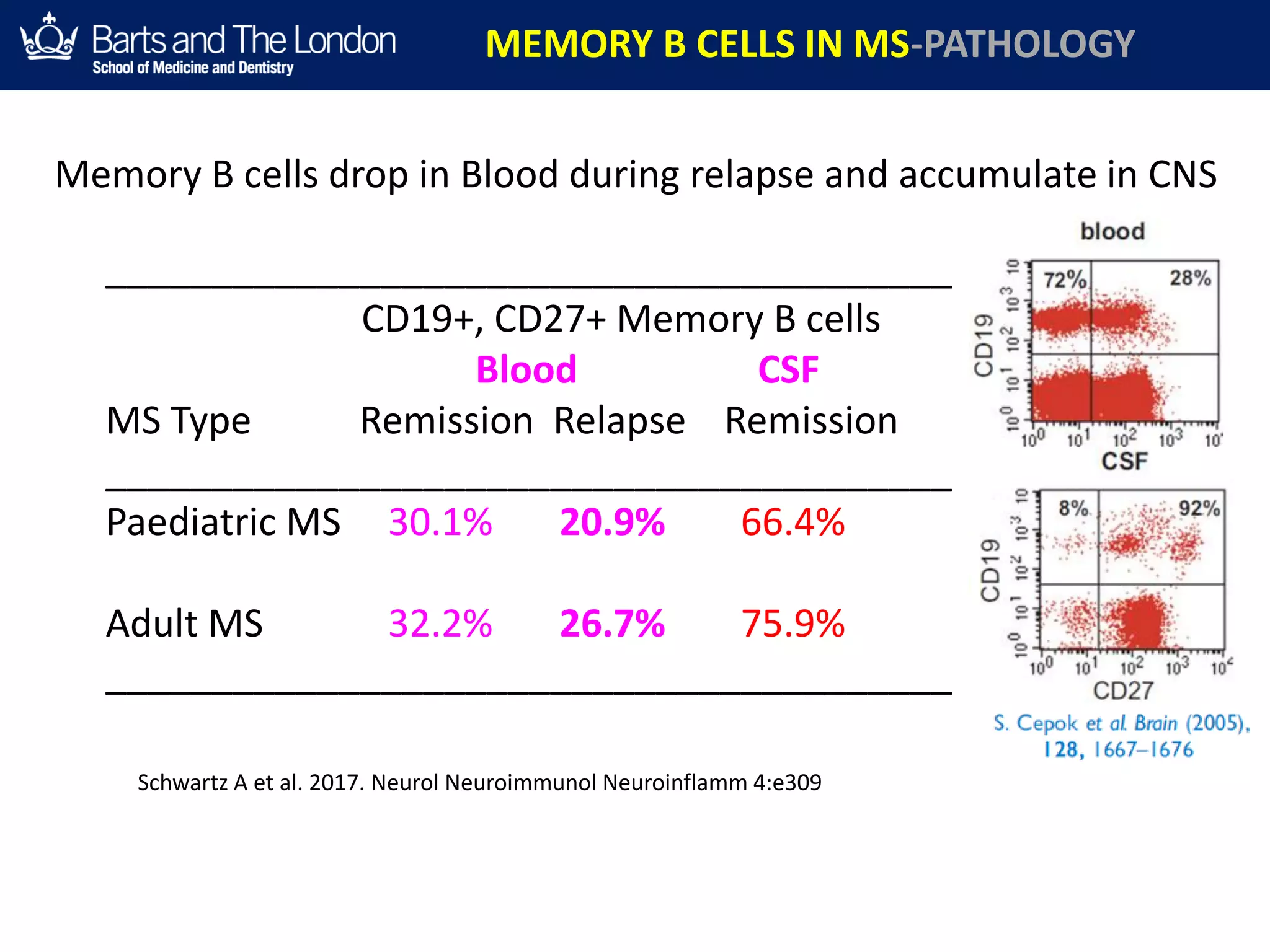________________________________________
CD19+, CD27+ Memory B cells
Blood CSF
MS Type Remission Relapse Remission
________________________________________
Paediatric MS 30.1% 20.9% 66.4%
Adult MS 32.2% 26.7% 75.9%
________________________________________
MEMORY B CELLS IN MS-PATHOLOGY
Schwartz A et al. 2017. Neurol Neuroimmunol Neuroinflamm 4:e309
Memory B cells drop in Blood during relapse and accumulate in CNS
 