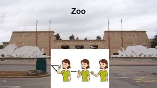 Zoo
 