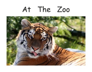 At The Zoo
 