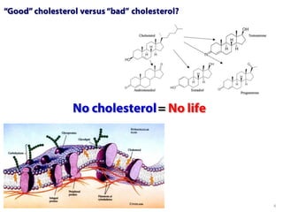 Peter Attia, MD — The Straight Dope on Cholesterol (AHS12)