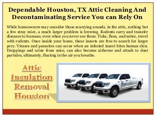 Dependable Houston, TX Attic Cleaning And
Decontaminating Service You can Rely On
While homeowners may consider those scurrying sounds, in the attic, nothing but
a few stray mice, a much larger problem is brewing. Rodents carry and transfer
diseases to humans, even when you never see them. Ticks, fleas, and mites, travel
with rodents. Once inside your home, these insects are free to search for larger
prey. Viruses and parasites can occur when an infected insect bites human skin.
Droppings and urine from mice, can also become airborne and attach to dust
particles, ultimately, floating in the air you breathe.

 