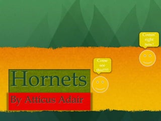 Hornets
By Atticus Adair
Come
see
this!!!!!
Comin’
right
now!
 