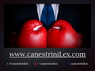 www.canestriniLex.com
t @canestrinilex  g+ +canestrinilex f canestrinilex
 