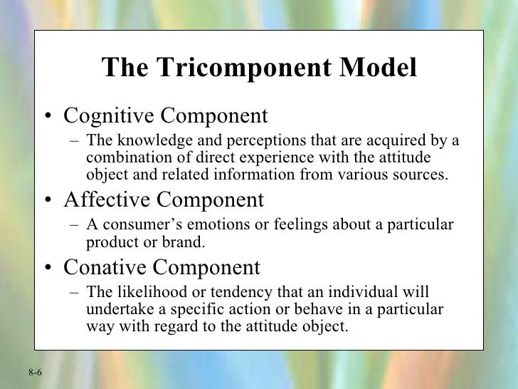 Consumer Behaviour Attitude