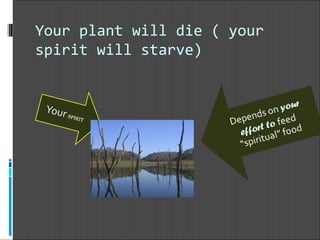 Your plant will die ( your spirit will starve) 