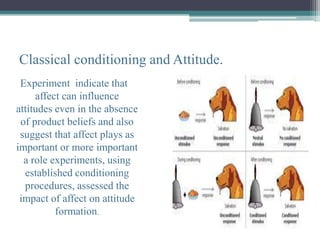 Classical conditioning and Attitude.
 Experiment indicate that
     affect can influence
attitudes even in the absence
 of product beliefs and also
 suggest that affect plays as
important or more important
  a role experiments, using
  established conditioning
  procedures, assessed the
 impact of affect on attitude
          formation.
 