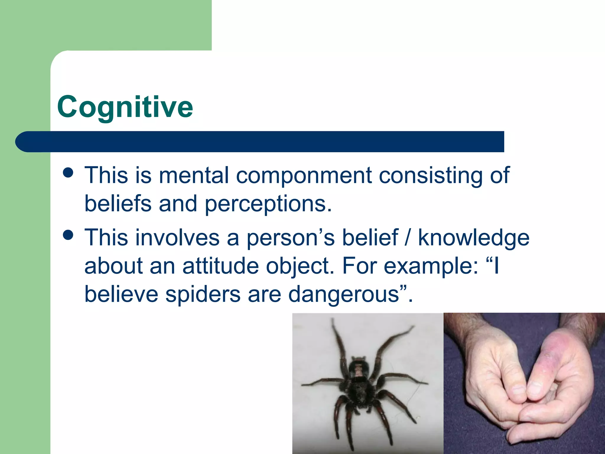 Cognitive

 This is mental componment consisting of
  beliefs and perceptions.
 This involves a person’s belief / knowledge
  about an attitude object. For example: “I
  believe spiders are dangerous”.
 