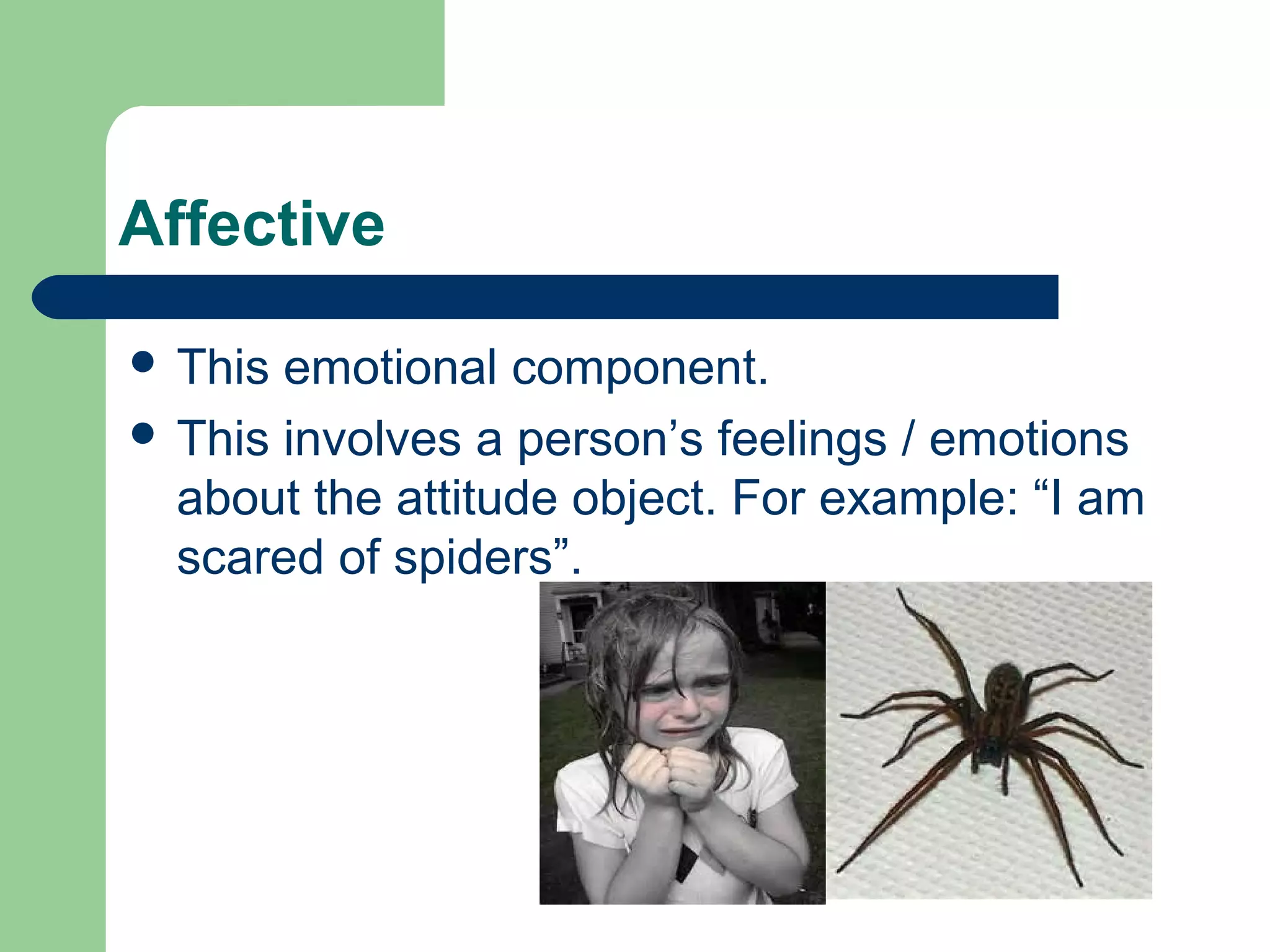 Affective

 This emotional component.
 This involves a person’s feelings / emotions
  about the attitude object. For example: “I am
  scared of spiders”.
 