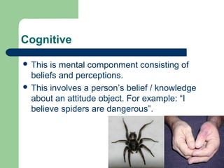 Cognitive

 This is mental componment consisting of
  beliefs and perceptions.
 This involves a person’s belief / knowledge
  about an attitude object. For example: “I
  believe spiders are dangerous”.
 