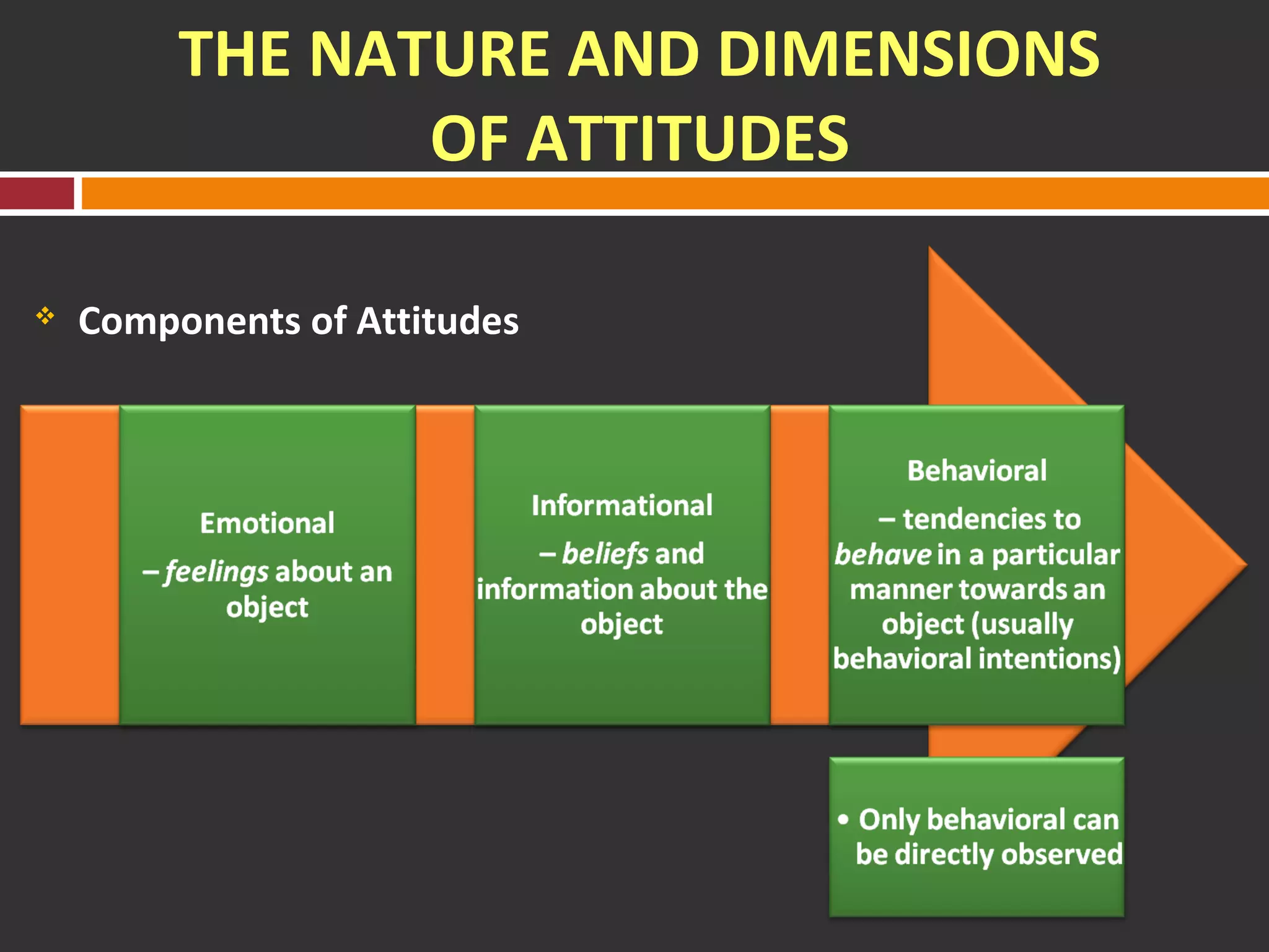 THE NATURE AND DIMENSIONS 
OF ATTITUDES 
 Components of Attitudes 
 