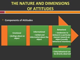 THE NATURE AND DIMENSIONS 
OF ATTITUDES 
 Components of Attitudes 
 